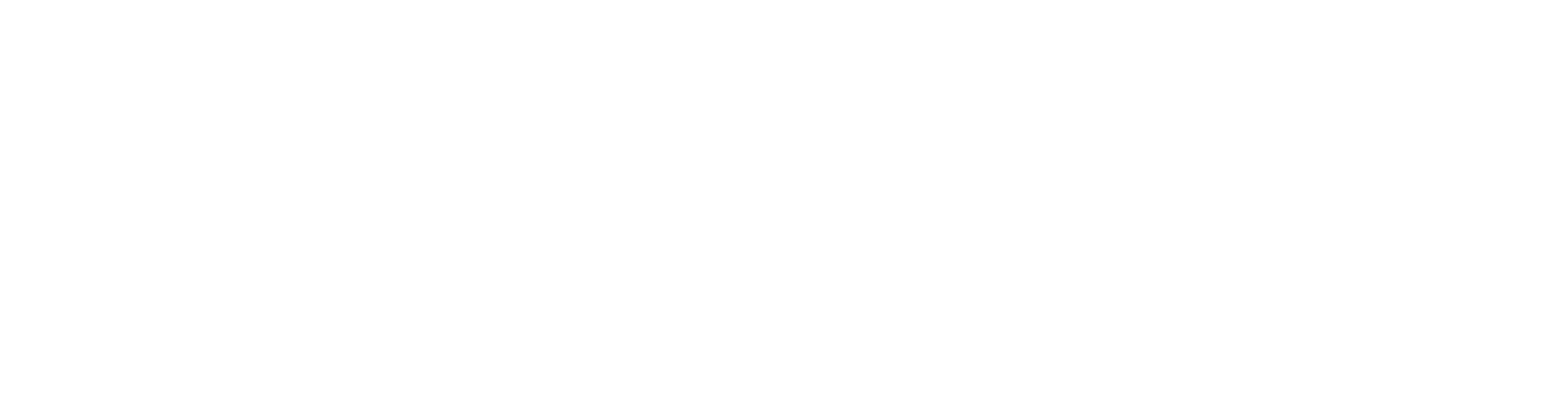 Ai Holística